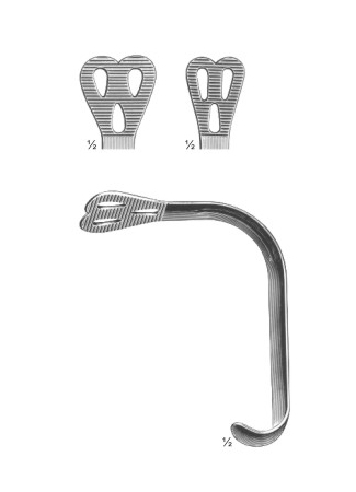 Tongue Weider