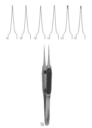 MULLER FORCEPS
